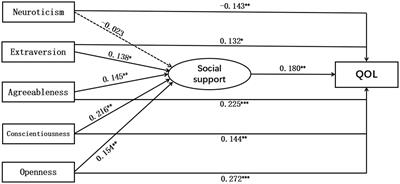 The relationship between big five personality and quality of life of people with disabilities: The mediating effect of social support
